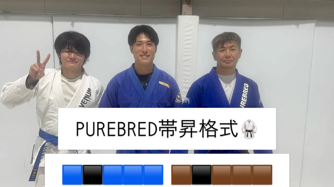 PUREBREDブラジリアン柔術帯昇格式（2026/09/1...