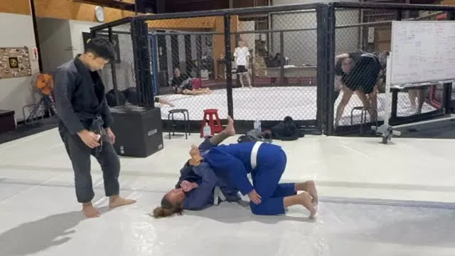 ピュアブレッドブラジリアン柔術クラス